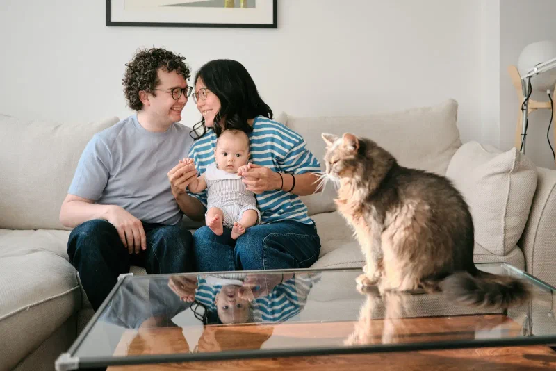 Family, Maternity, Newborn & Couples Portfolio - portfolio photograph 95